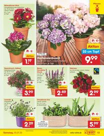 Netto Marken-Discount Prospekt woche 27 Seite 13