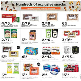 Mills Fleet Farm Weekly Ad week 26 Page 13