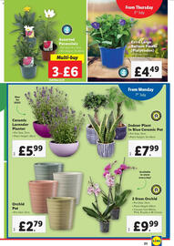 Lidl leaflet week 27 Page 23