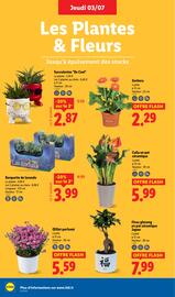 Catalogue Lidl semaine 27 page 26