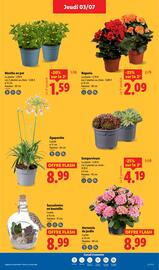 Catalogue Lidl semaine 27 page 27