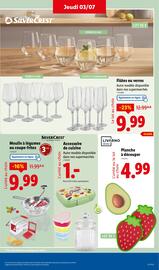 Catalogue Lidl semaine 27 page 39