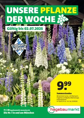Hagebau Prospekt (gültig bis 3-07)