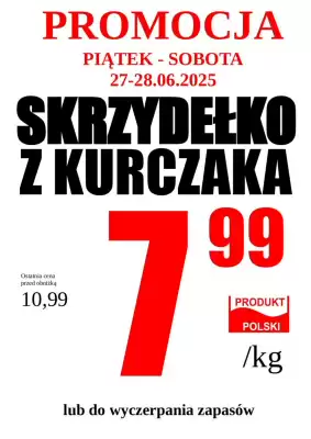 Wizan gazetka (ważność do 1-07)