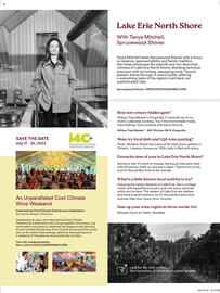 LCBO flyer Page 33