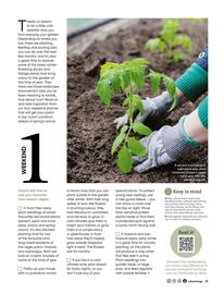 Bunnings catalogue Page 31