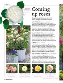 Bunnings catalogue Page 34