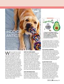 Bunnings catalogue Page 37