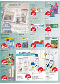 V Markt Prospekt woche 27 Seite 10