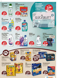 V Markt Prospekt woche 27 Seite 11