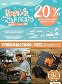 V Markt Prospekt woche 27 Seite 17