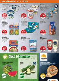 V Markt Prospekt woche 27 Seite 19