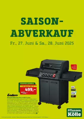 Pflanzen Kölle Prospekt (gültig bis 28-06)