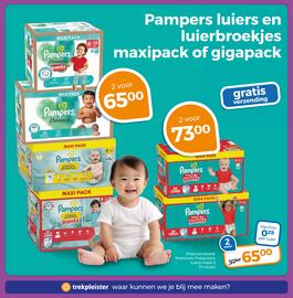 Trekpleister folder Pagina 31