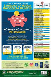 Volantino Ciro Amodio Pagina 12