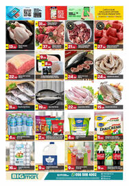 Bigmart catalogue Page 11