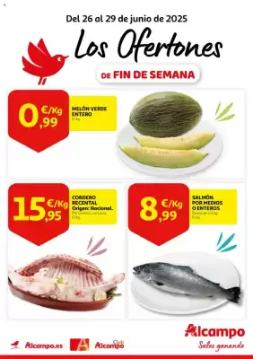 Folleto Alcampo (válido hasta el 29-06)
