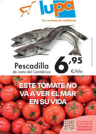 Folleto Supermercados Lupa semana 26 Página 1