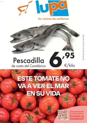Folleto Supermercados Lupa (válido hasta el 2-07)