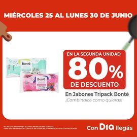 Catálogo Supermercados DIA semana 26 Página 2