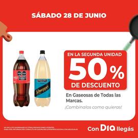 Catálogo Supermercados DIA semana 26 Página 3