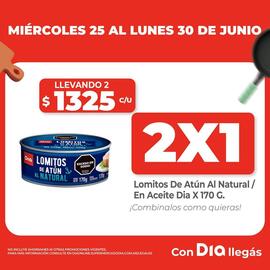 Catálogo Supermercados DIA semana 26 Página 4