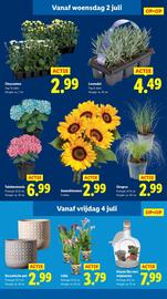 Lidl folder week 27 Pagina 15