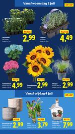 Lidl folder week 27 Pagina 15