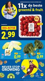Lidl folder week 27 Pagina 2