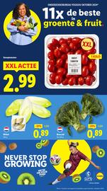 Lidl folder week 27 Pagina 2