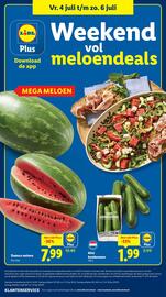 Lidl folder week 27 Pagina 42