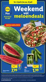 Lidl folder week 27 Pagina 42