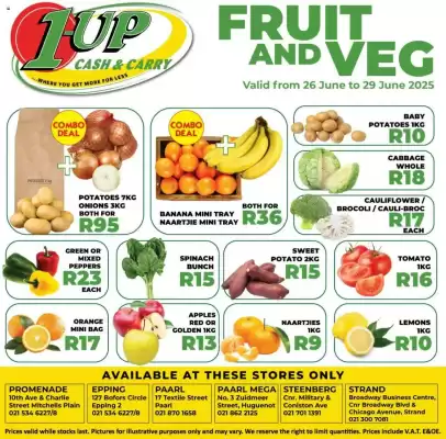 1UP catalogue