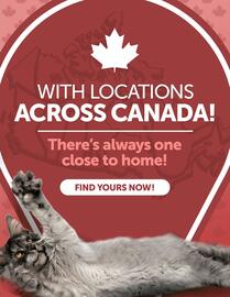 Global Pet Foods flyer week 26 Page 9