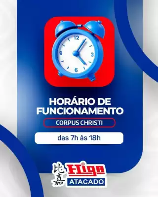 Catálogo Higa Atacado