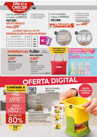 Catálogo Fuller Página 26