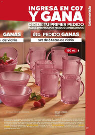 Catálogo Fuller Página 31