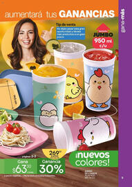 Catálogo Fuller Página 9