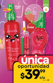 Catálogo Fuller Página 103