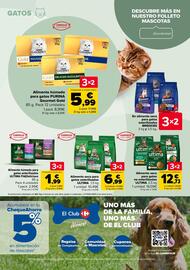 Folleto Carrefour Página 67