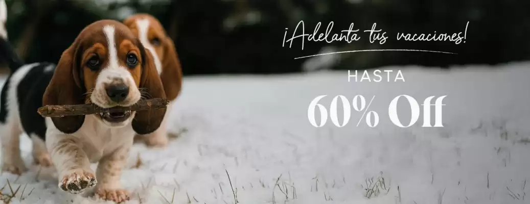 Catálogo Hush Puppies Kids (válido hasta 8-07)