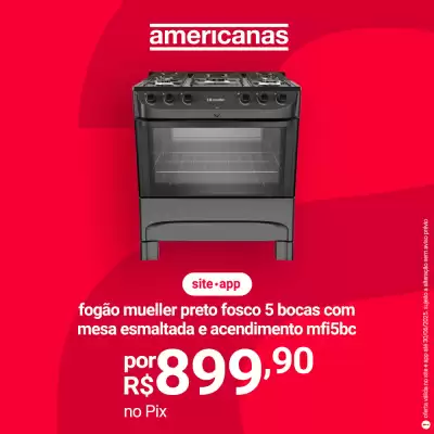 Catálogo Lojas Americanas (válido até 30-06)