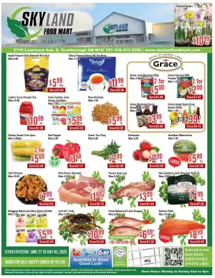 Skyland Foodmart flyer (valid until 3-07)