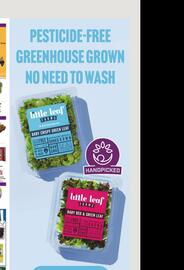 Giant Food Weekly Ad week 26 Page 10