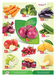 Shaklan catalogue Page 2