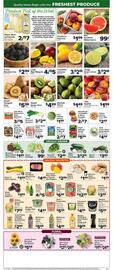 Foodtown supermarkets Weekly Ad week 26 Page 9