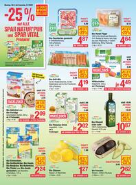 Maximarkt Flugblatt woche 27 Seite 8