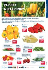 Makro leták Strana 5