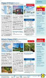 Lidl Flugblatt Seite 18