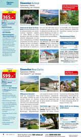 Lidl Flugblatt Seite 6